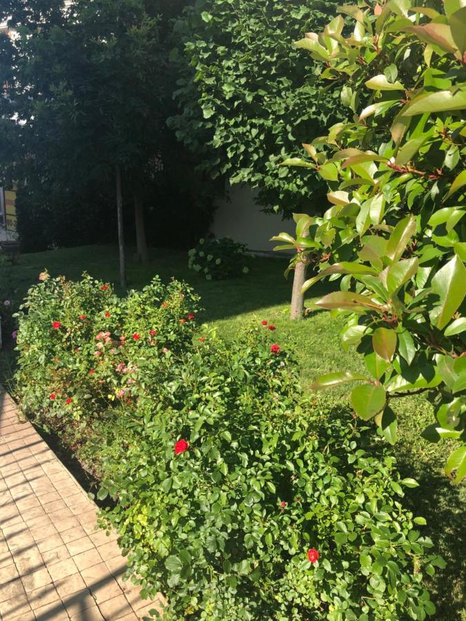 Вила Калабрия سفيتي فلاس المظهر الخارجي الصورة